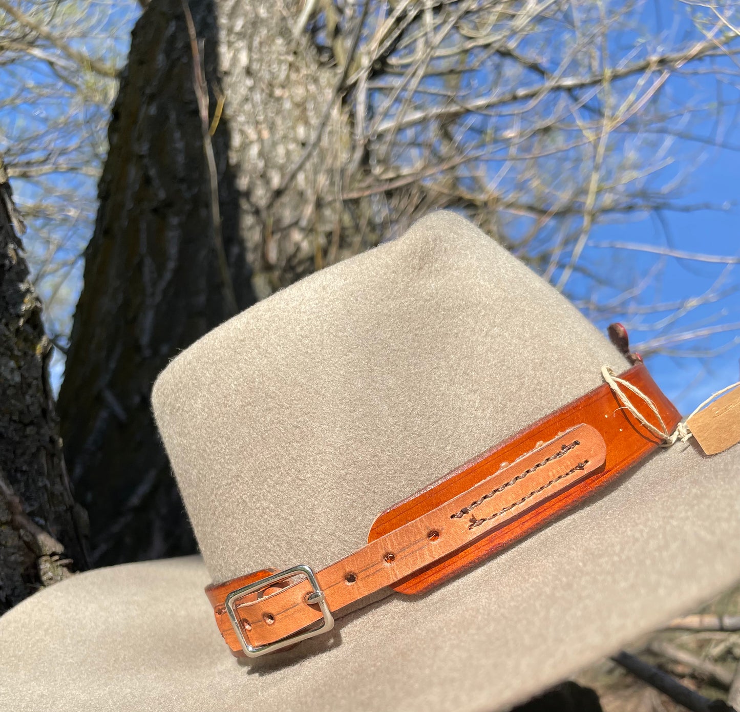 Mushroom Painted Hat Band