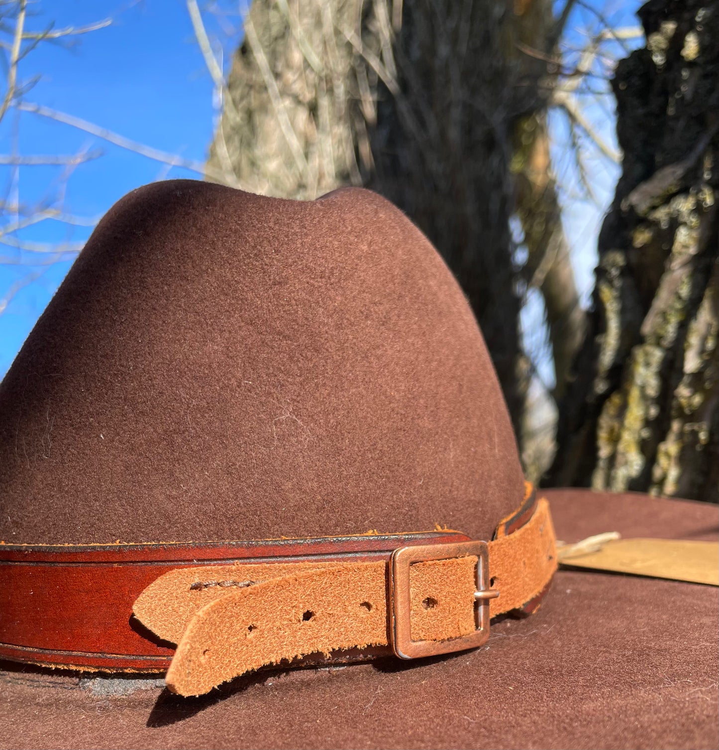 Yellow Pansy hat band