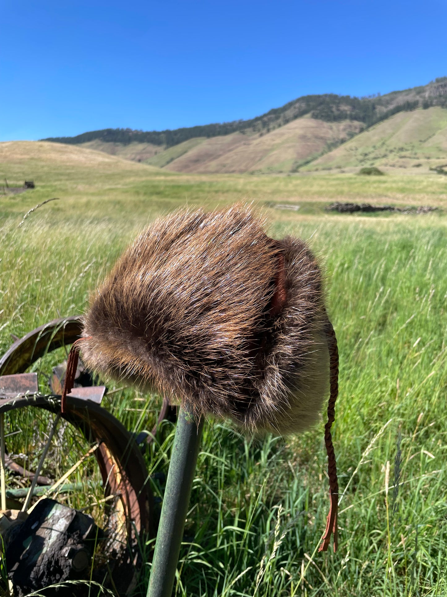 Beaver Trapper Hat- buttery