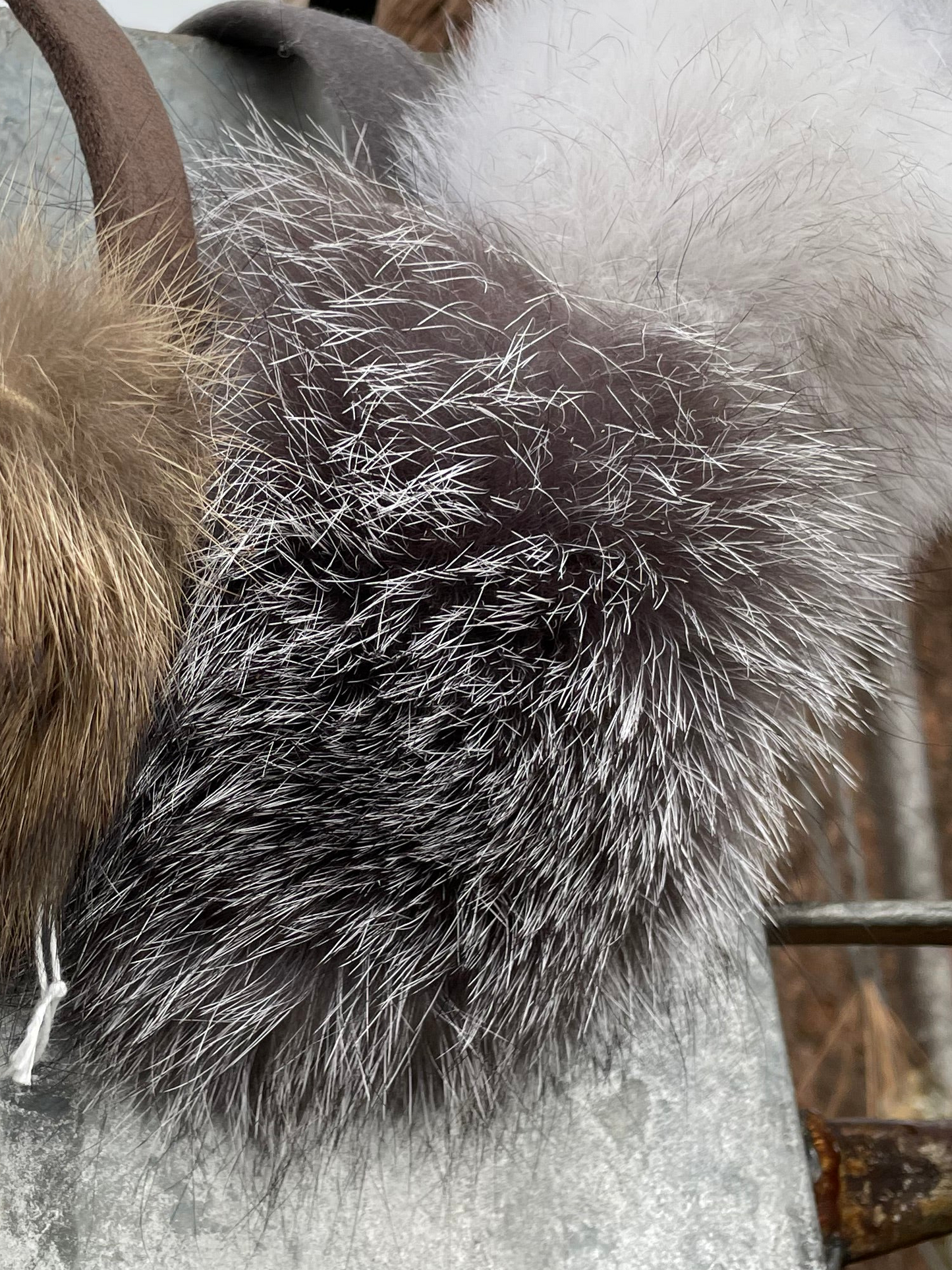 Earmuff - Blue Fox