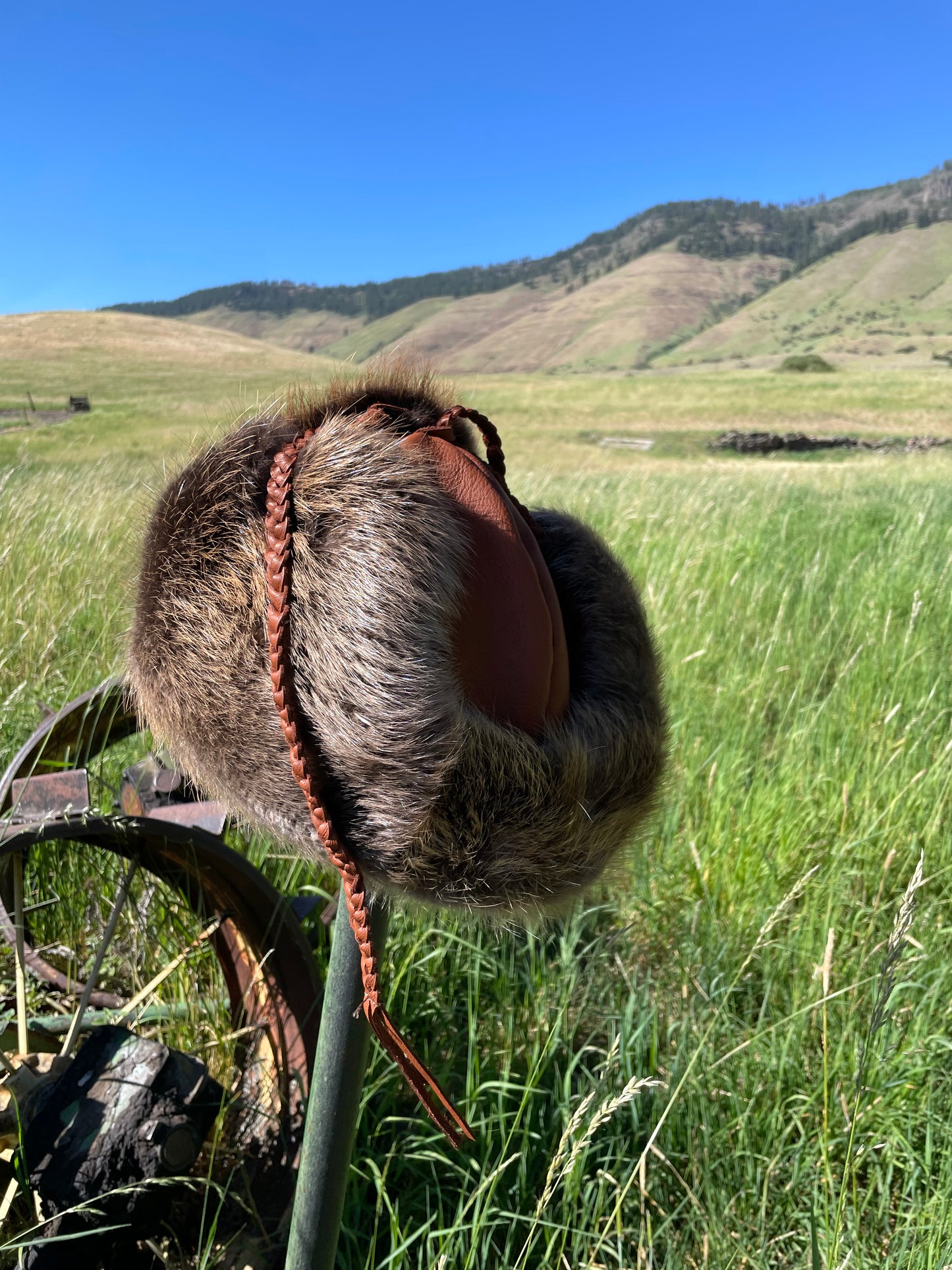 Beaver Trapper Hat- buttery