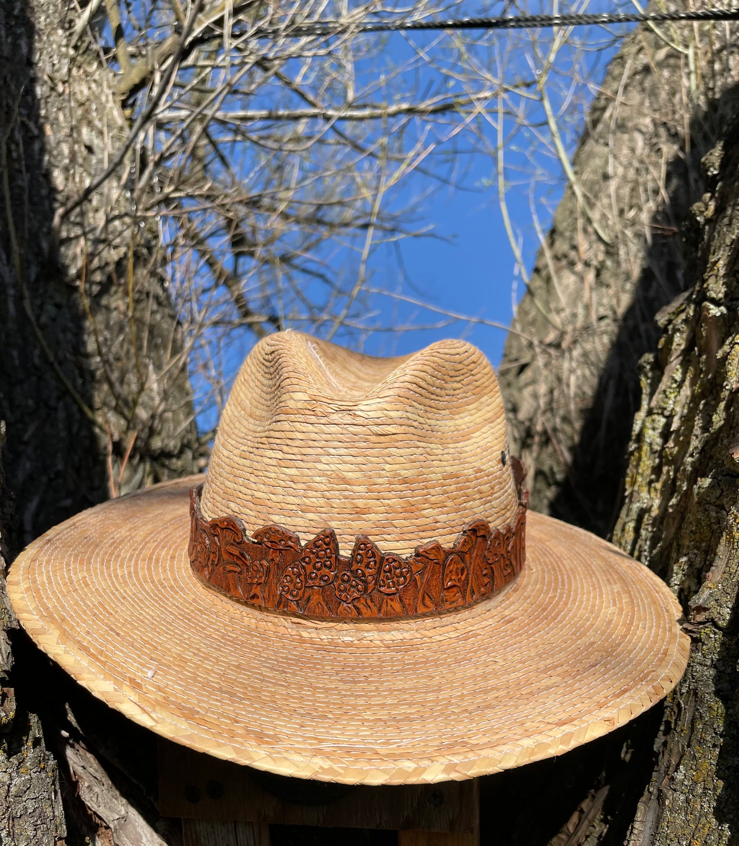 Mushroom Hat Band Unpainted