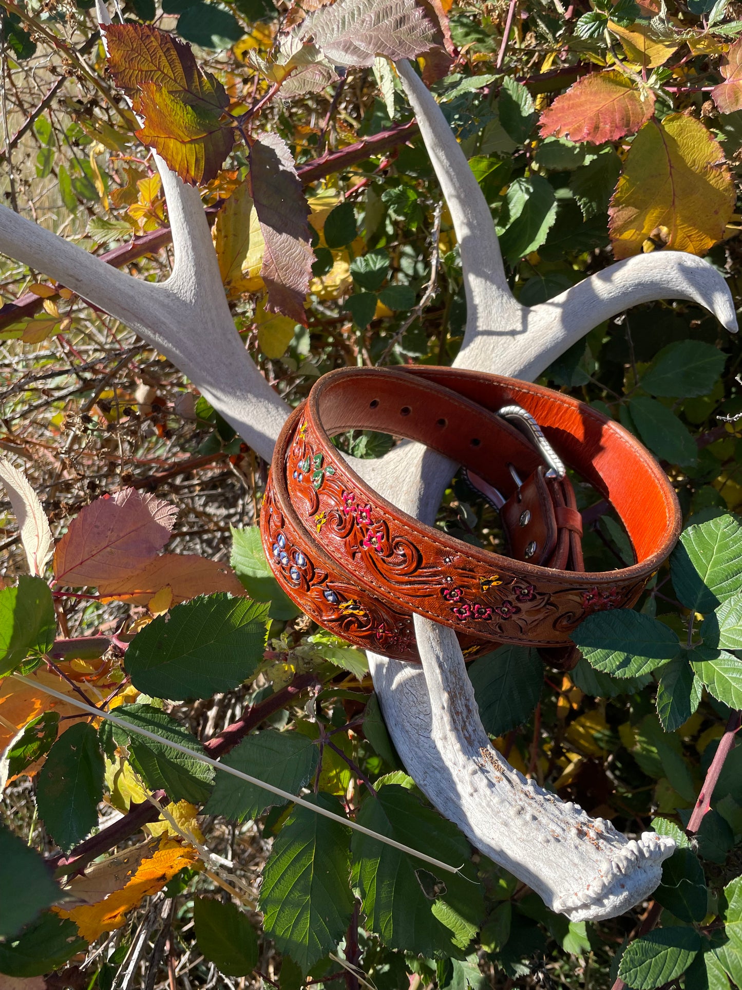 Belt: “Spring Breeze” size 34