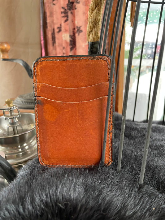 Card Wallet - Painted Mushroom Jar