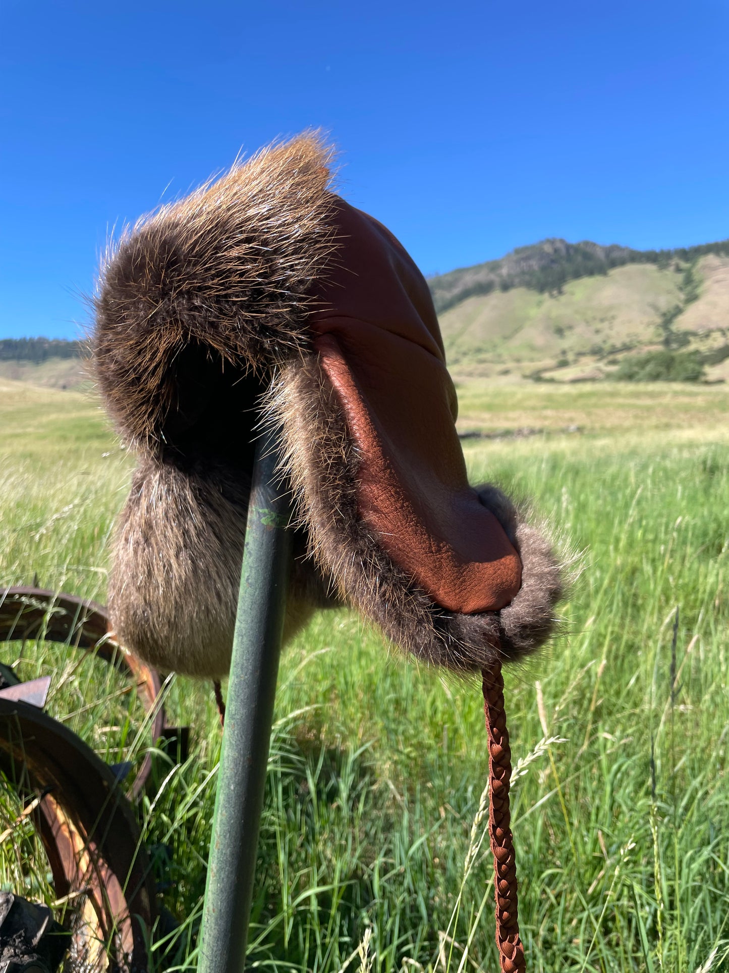 Beaver Trapper Hat- buttery